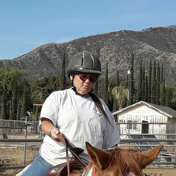 Meet your Posher, Nancy - Picture 1 of 1